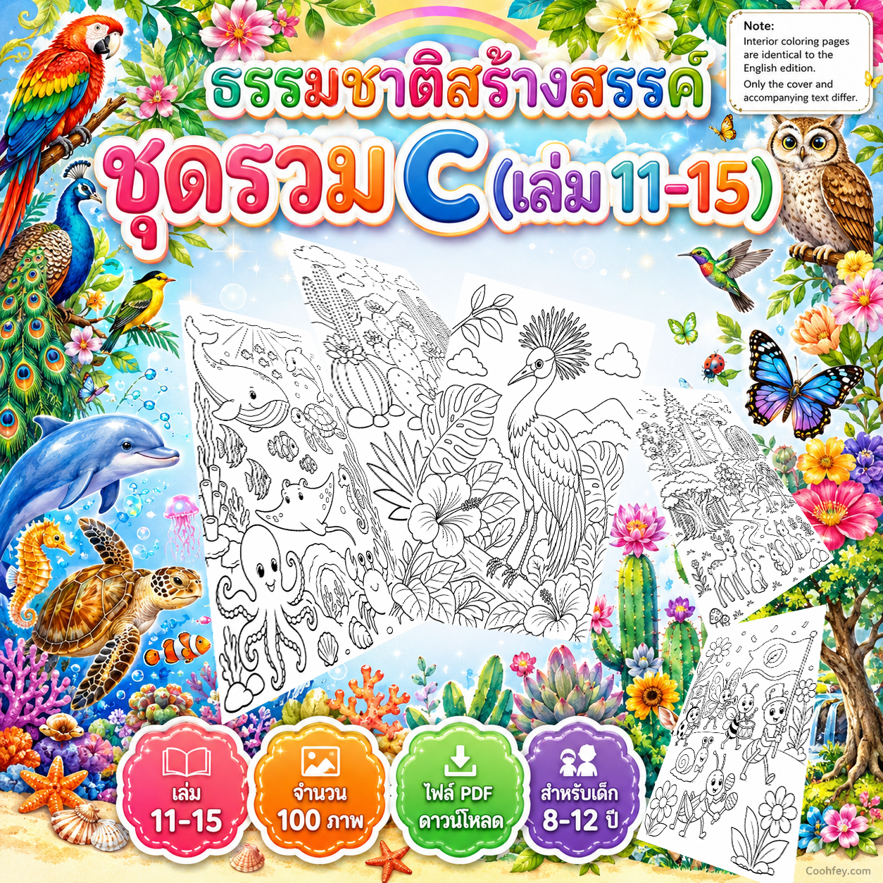 AB024 | ธรรมชาติสร้างสรรค์ ชุดรวม C (เล่ม 11–15) | ไฟล์ PDF ดาวน์โหลด 100 หน้า