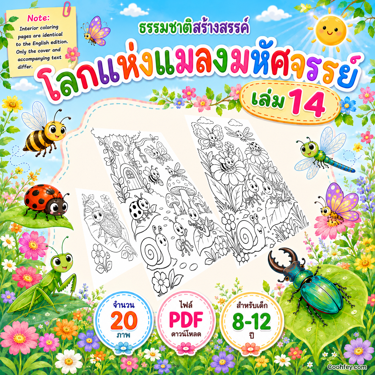 AB020 | 🐞 ธรรมชาติสร้างสรรค์ เล่ม 14: โลกแห่งแมลงมหัศจรรย์ | ไฟล์ PDF ดาวน์โหลด 20 ภาพ